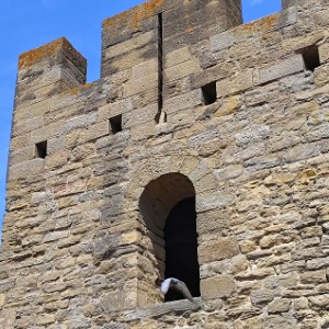 La cité de Carcassonne 🤩🤩.#carcassonne #france